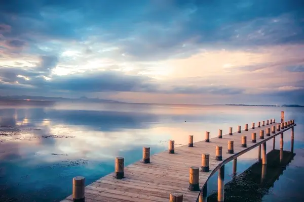 梅花手绘教程美食